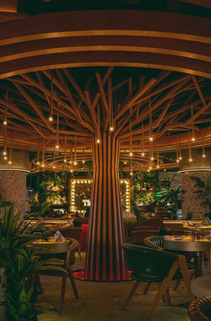Under the canopy