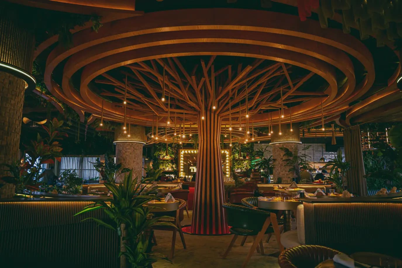 The canopy from across the room