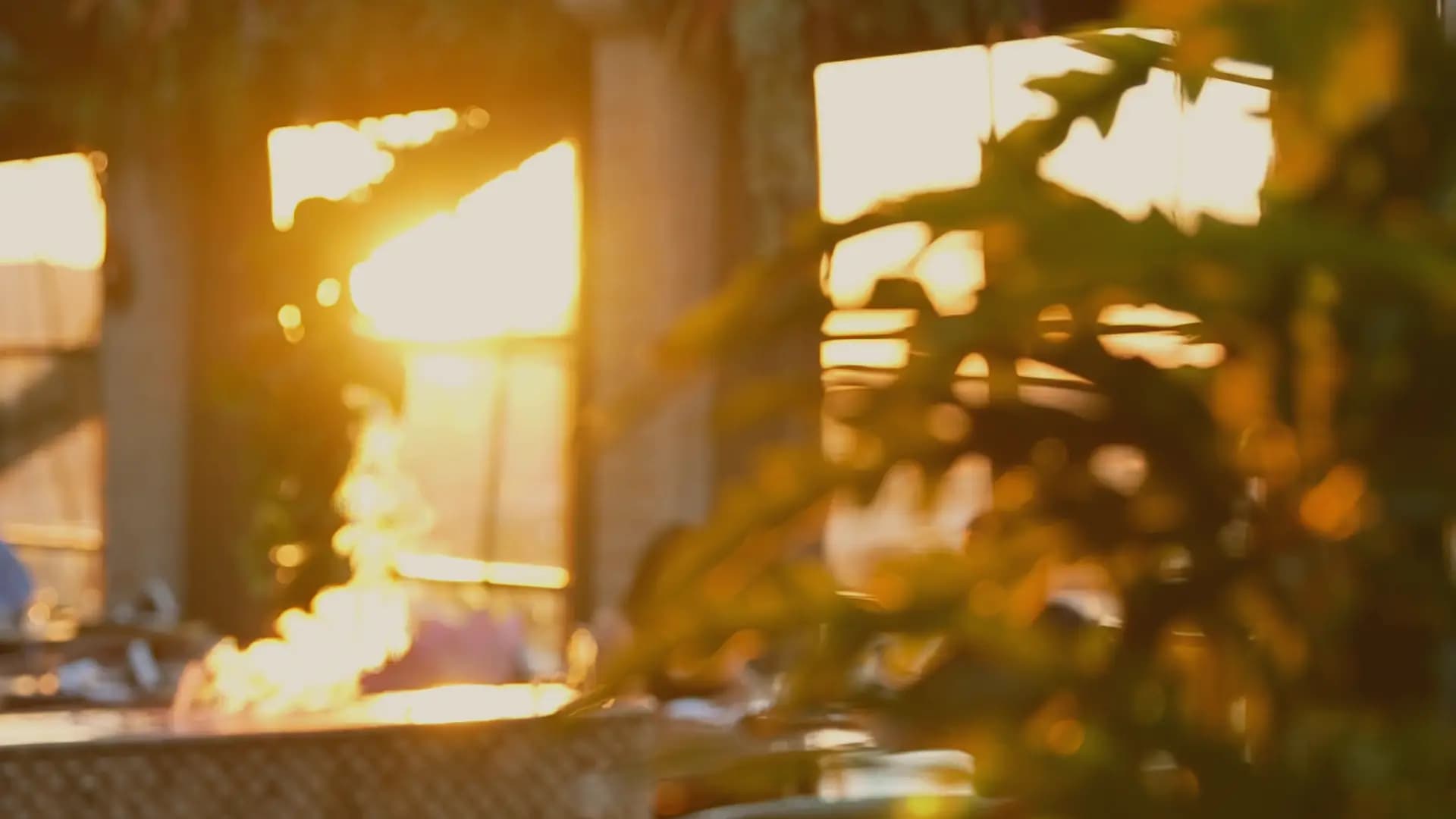 The view at golden hour